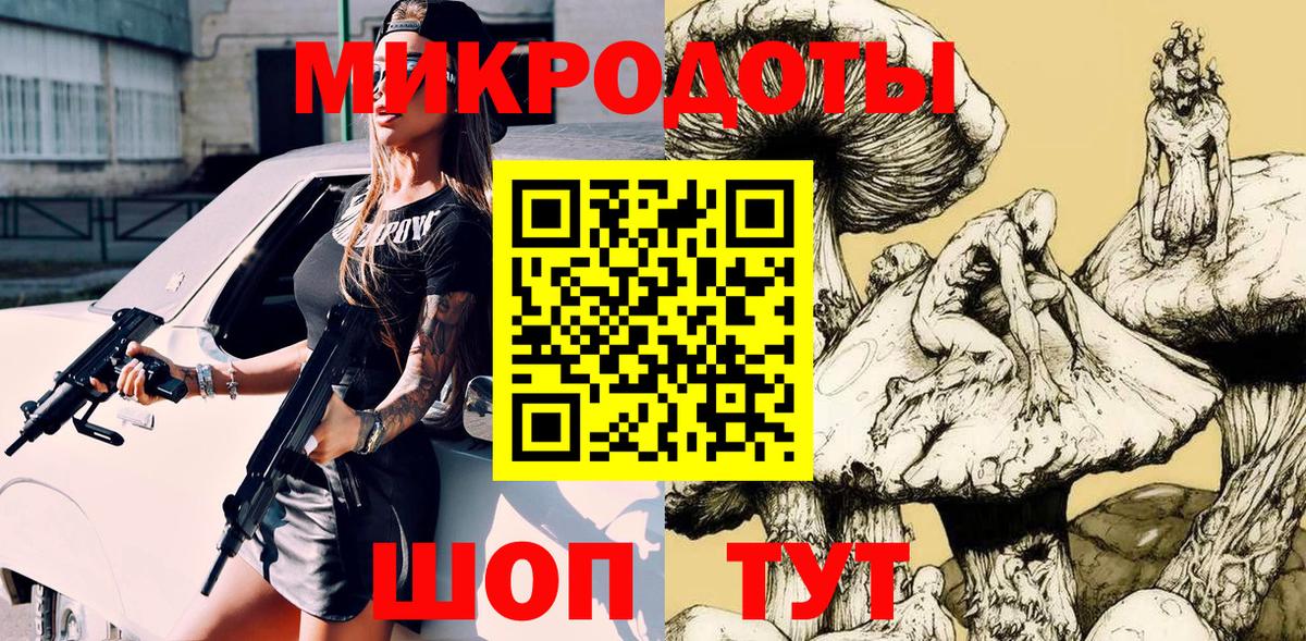 Псилоцибиновые грибы Psilocybe Партизанск